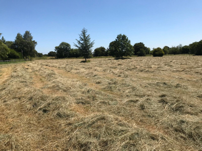 Mowing field