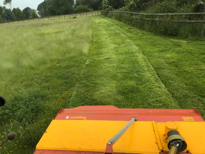 Mowing field